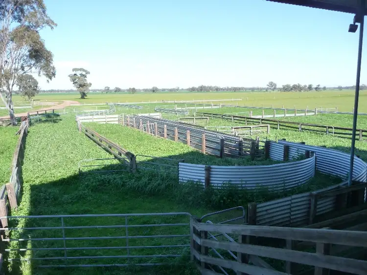 Fifth view of Homely rural property listing, 1295 Ozenkadnook Mortat Road, Edenhope VIC 3318