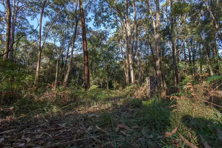 Third view of Homely land listing, Lot 72 Bodalla Park Drive, Bodalla NSW 2545