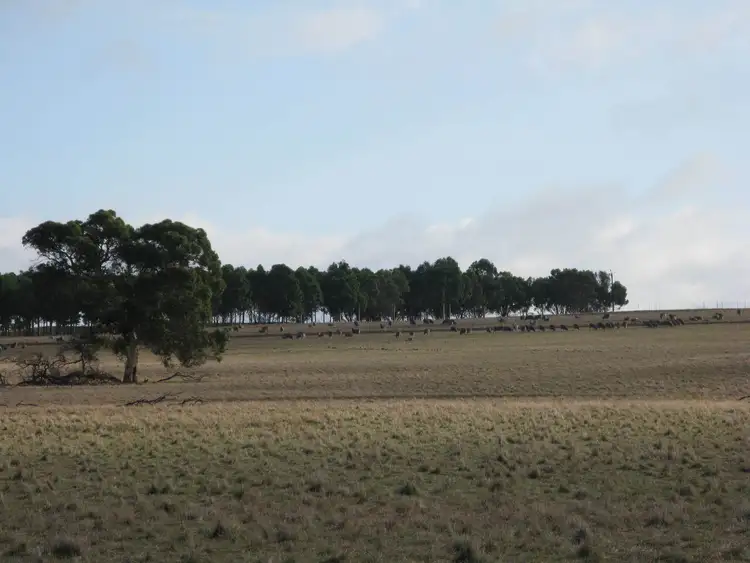 Fourth view of Homely rural property listing, Lot 50 Frankland Cranbrook Rd, Cranbrook WA 6321