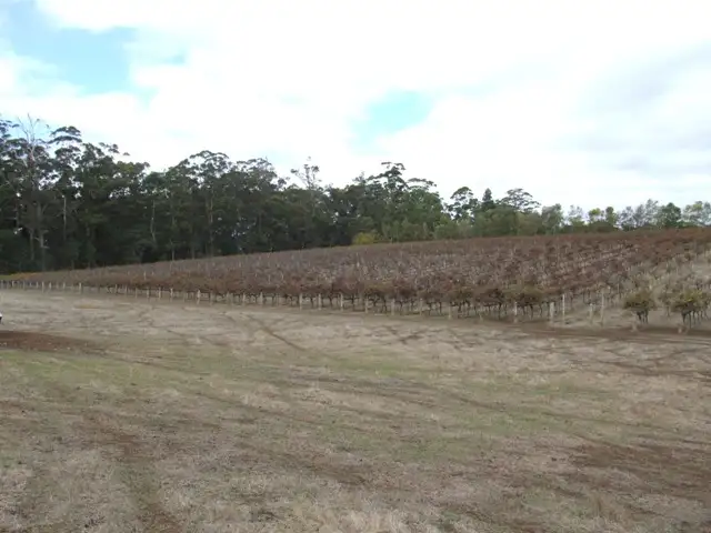 Fourth view of Homely rural property listing, 1667 Graphite Road, Manjimup WA 6258