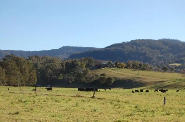 125 Minnamurra Falls Road, Jamberoo NSW 2533