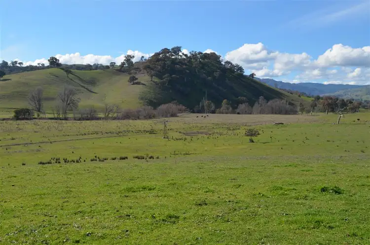 Lot 21 Twomeys Lane ( Lot 1 Withers Lane), Tumut NSW 2720