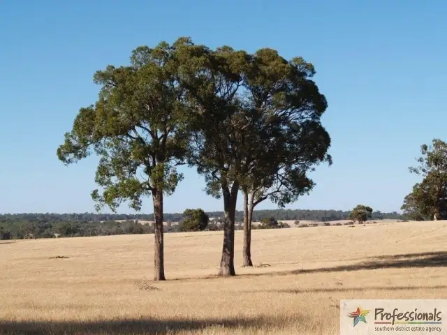 Fourth view of Homely rural property listing, Address available on request