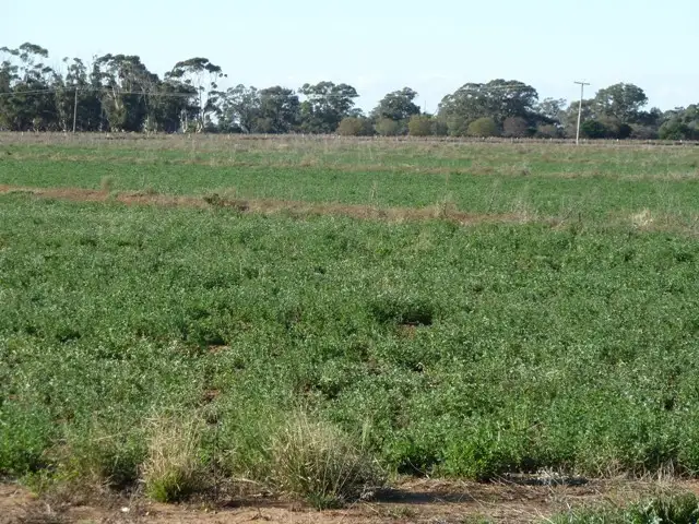 Fifth view of Homely rural property listing, Lot 1 Thyra Road, Moama NSW 2731