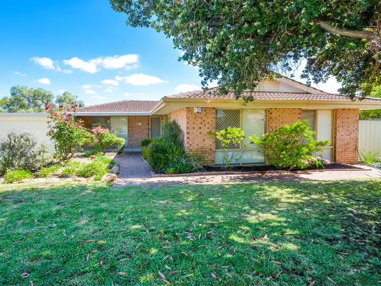 Third view of Homely house listing, 8 Thames Court, Beechboro WA 6063