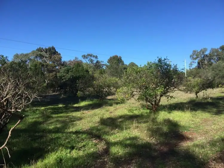 Sixth view of Homely land listing, 77 Matthie Road, Barragup WA 6209