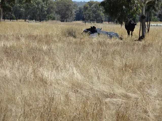 Fourth view of Homely rural property listing, 93 Williams Road, Barnawartha VIC 3688