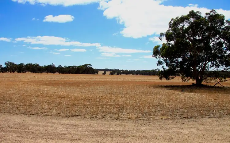 Sixth view of Homely rural property listing, 30 O'Dea Road, Yilliminning WA 6312