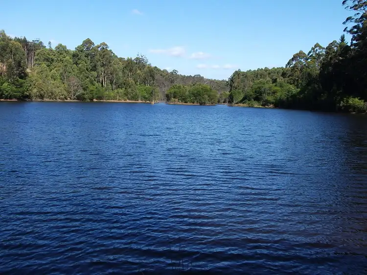 Lot 4335 Wheatley Coast Road, Manjimup WA 6258