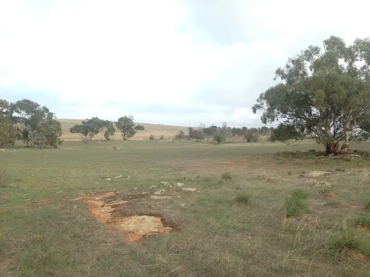 Fourth view of Homely rural property listing, Lot 96 Anders Road, Rockleigh SA 5254