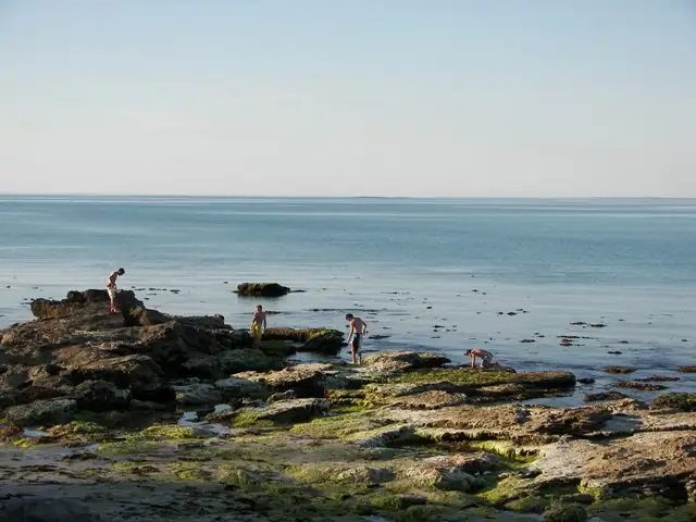 Main view of Homely land listing, 14 Peter McQueen Avenue, Robe SA 5276