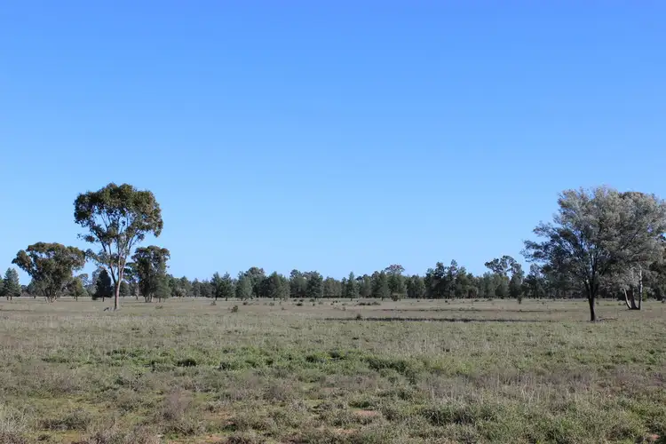 Fifth view of Homely rural property listing, 4550 Dirranbandi - Bollon Rd, Dirranbandi QLD 4486