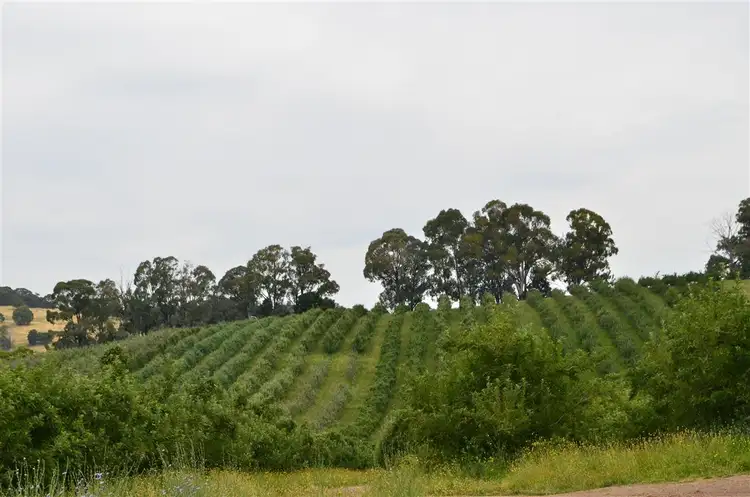 Second view of Homely rural property listing, 00 'Muttaroo' Mines Road, Batlow NSW 2730