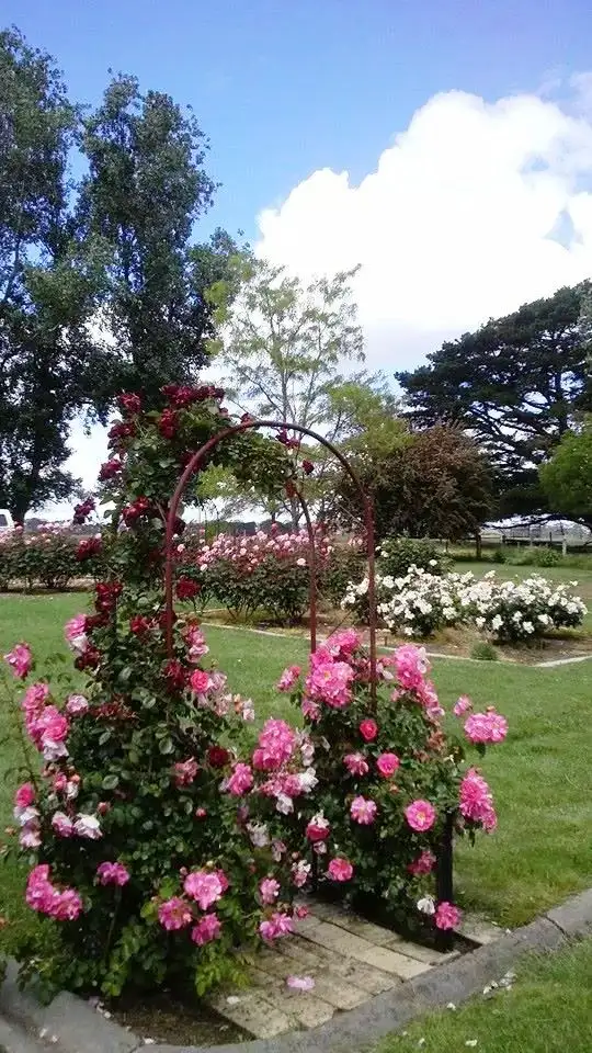 Second view of Homely rural property listing, 505 Ferry Hills Road, Wando Vale, Casterton VIC 3311