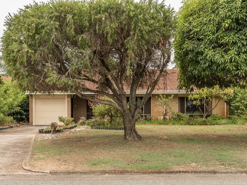 Main view of Homely house listing, 7 Ash Way, Morley WA 6062