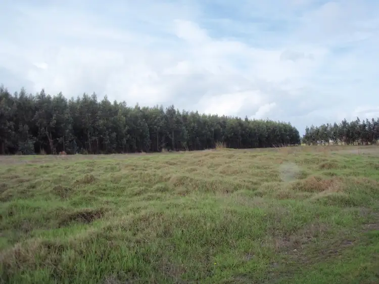 Fourth view of Homely rural property listing, 628 Jindong Treeton Road, Kaloorup WA 6280