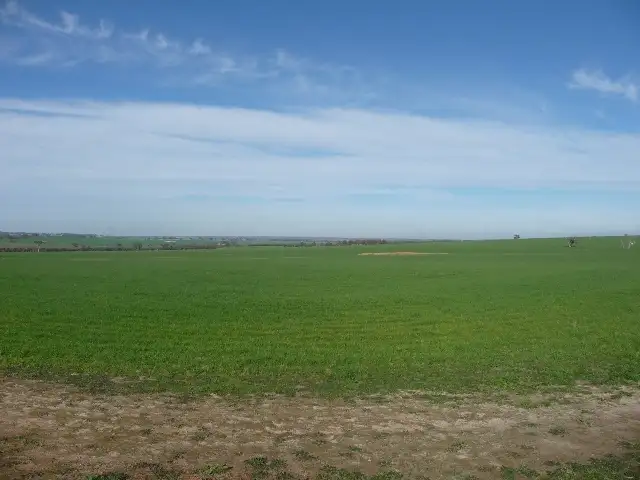 Second view of Homely rural property listing, 16110 Maynard Road, Quairading WA 6383