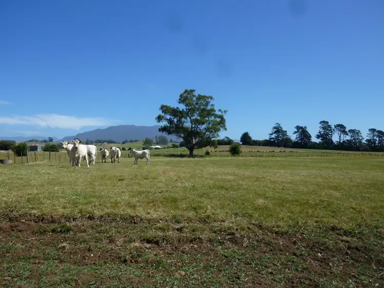 Sixth view of Homely rural property listing, 138a Main Street, Sheffield TAS 7306
