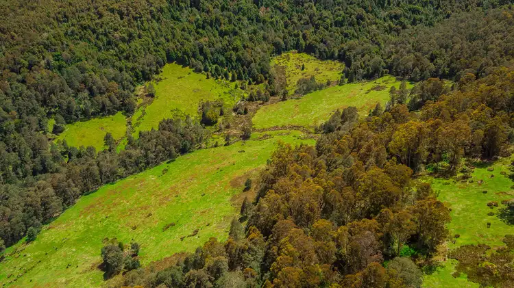 Fifth view of Homely rural property listing, PID7304330 Highland Lakes Road, Golden Valley TAS 7304