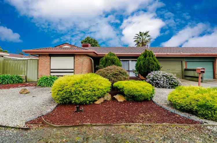 20 Chappel Avenue, Morphett Vale SA 5162