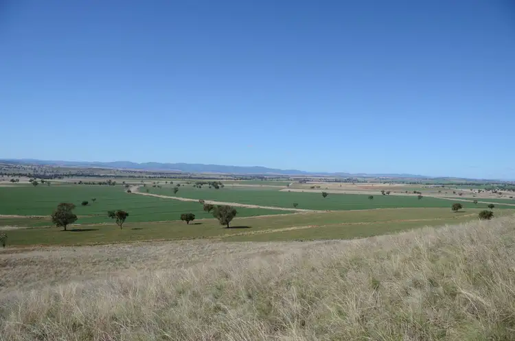 Fifth view of Homely rural property listing, "Keelendi" Babbinboon Road, Tamworth NSW 2340