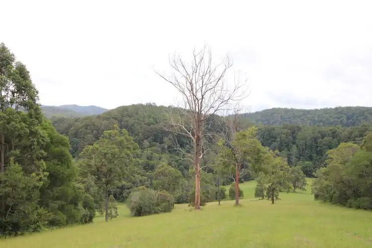 Seventh view of Homely rural property listing, Lot 101 Pappinbarra Rd, Pappinbarra NSW 2446