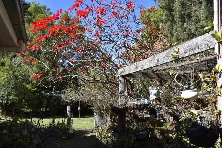 Main view of Homely house listing, 2 OWEN STREET, Jamberoo NSW 2533