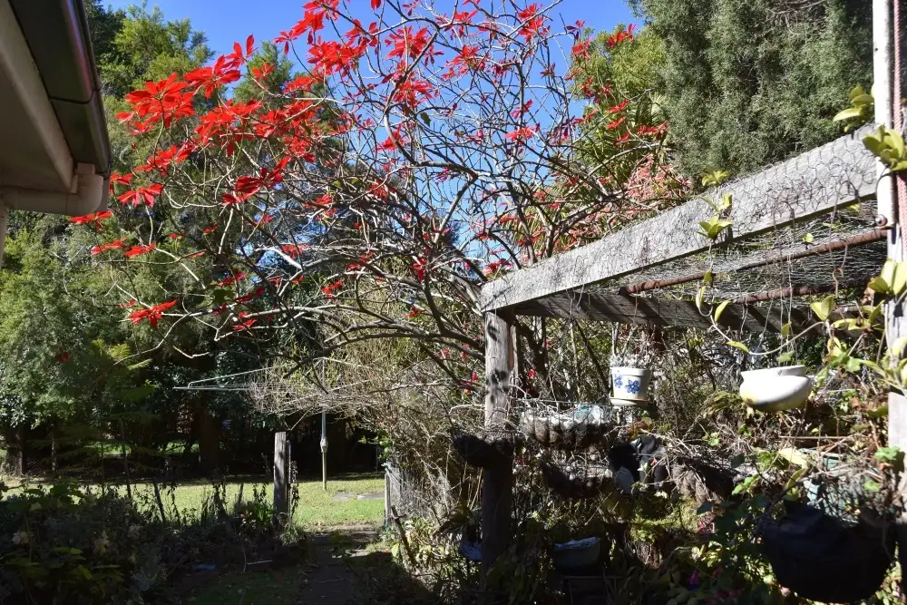 Main view of Homely house listing, 2 OWEN STREET, Jamberoo NSW 2533