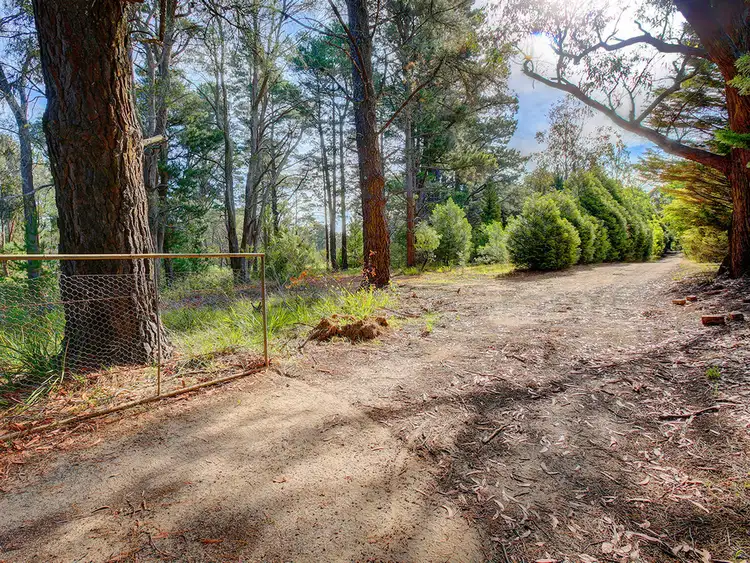 194 Sydney Street, Wingello NSW 2579