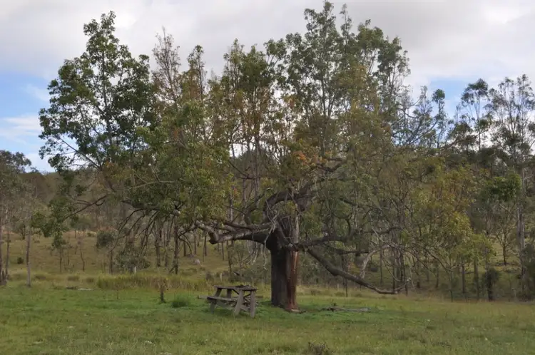 Fifth view of Homely rural property listing, 786 Groomsville Road, Groomsville QLD 4352