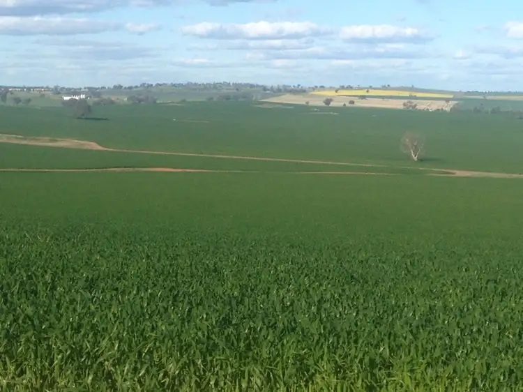 - 'Stonecroft', Coolamon NSW 2701