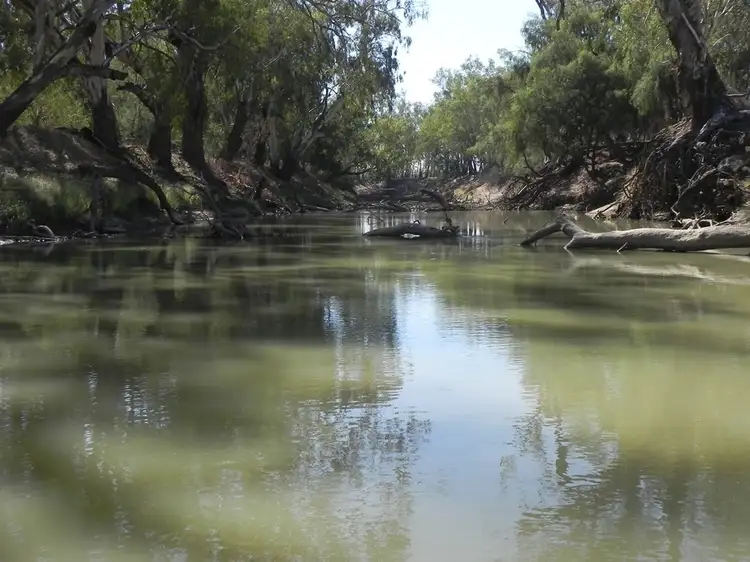 Main view of Homely rural property listing, - Glenroy -, Lake Cargelligo NSW 2672