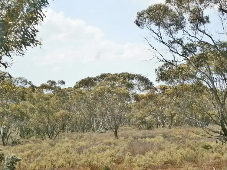 Sixth view of Homely rural property listing, 13 Sturt highway, Blanchetown SA 5357