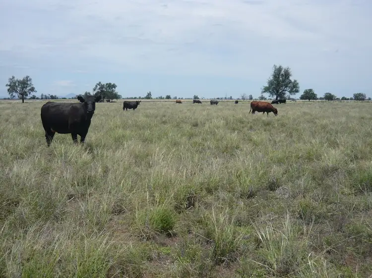 Raheen Coonamble, Baradine NSW 2396