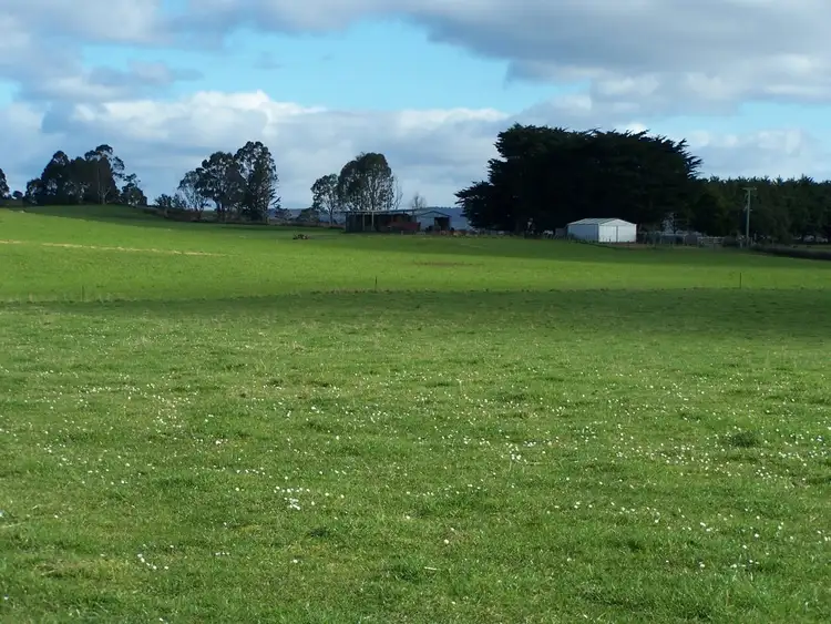 Sixth view of Homely rural property listing, 429 Lowries Road, Oldina TAS 7325