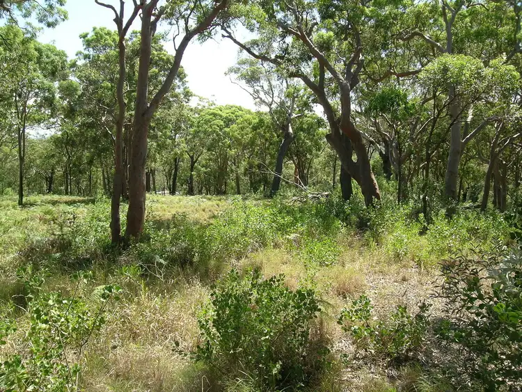 Fourth view of Homely rural property listing, 242 & 248 Gan Gan Road, Anna Bay NSW 2316