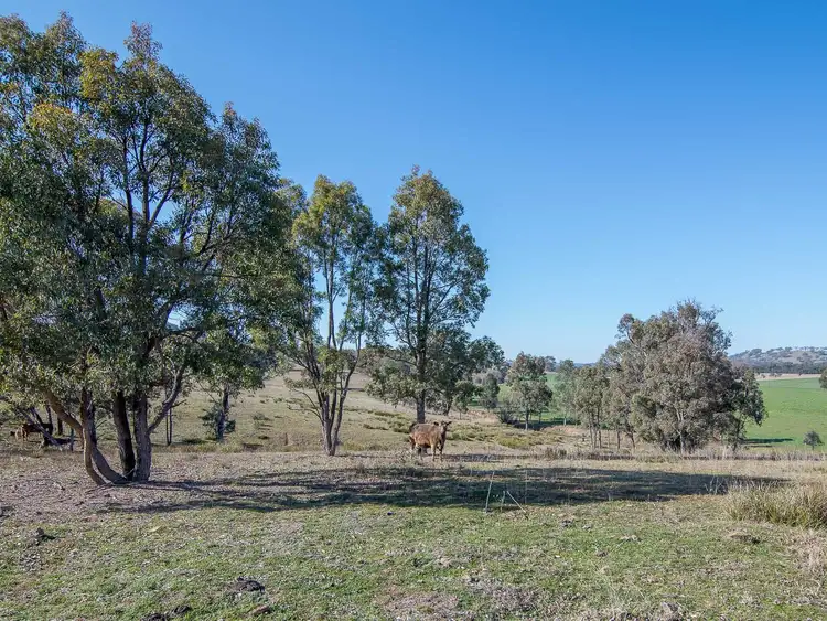 Fourth view of Homely rural property listing, 158 Bara - Lue Road, Mudgee NSW 2850