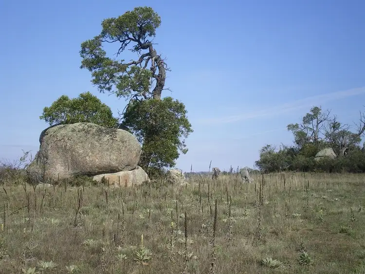 Third view of Homely land listing, 314 Bobundara Rd, Berridale NSW 2628