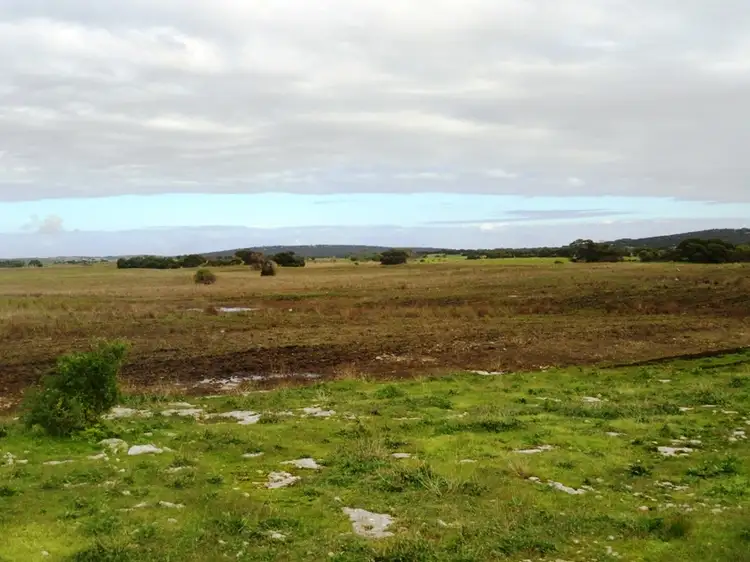 Seventh view of Homely rural property listing, Allotment 7 Flinders Highway, Wangary SA 5607