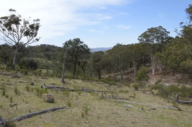 Seventh view of Homely rural property listing, Lot 296, "Glenella" 758 Pyramul Road, Mudgee NSW 2850