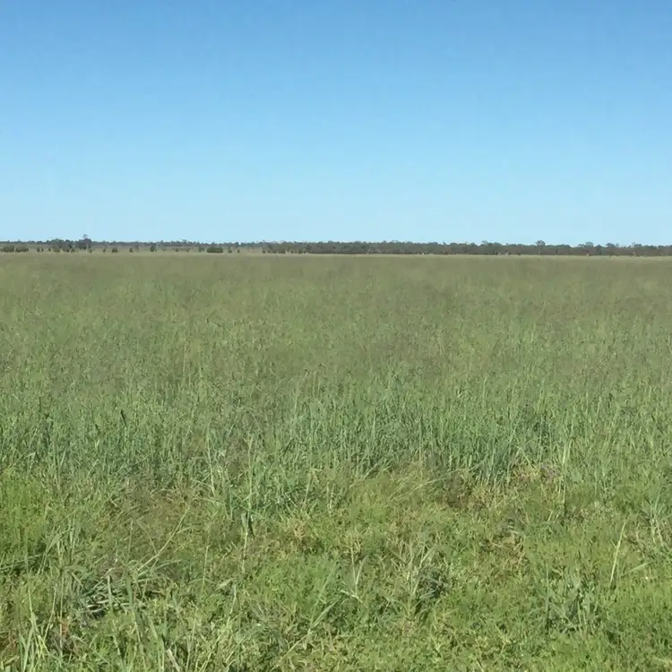 Sixth view of Homely rural property listing, " Karinya ", Hannaford QLD 4406