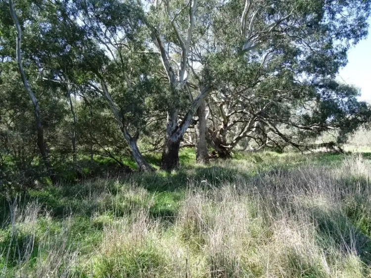 Third view of Homely rural property listing, Address available on request
