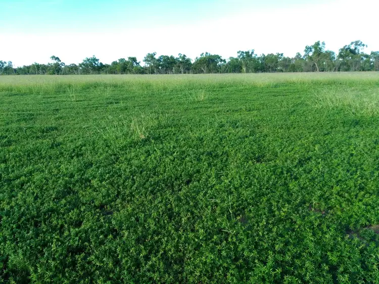 Second view of Homely rural property listing, CORONATION Gregory Development Road, Charters Towers QLD 4820