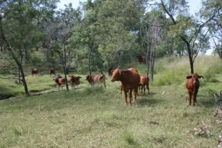 Third view of Homely rural property listing, Address available on request