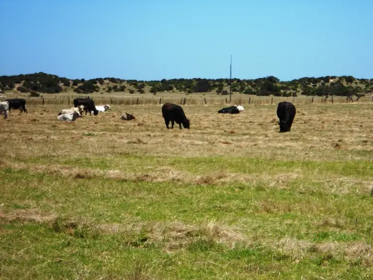 Second view of Homely rural property listing, 124 Edwards Rd, Stirling Estate WA 6271