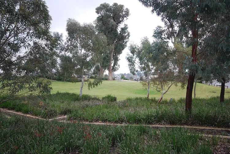 Fifth view of Homely house listing, 43 Climber Concourse, Baldivis WA 6171