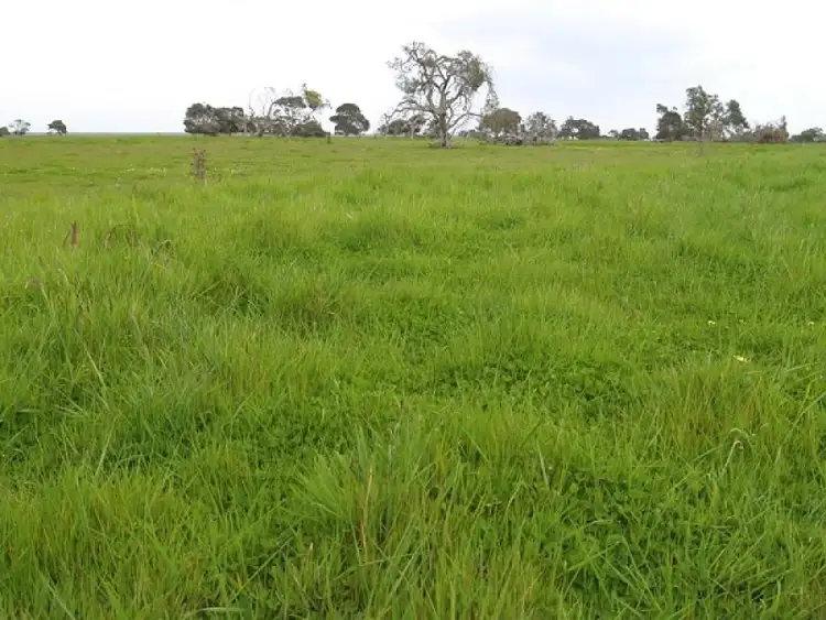 Second view of Homely rural property listing, 1110 Bowaka Road, Kingston Se SA 5275