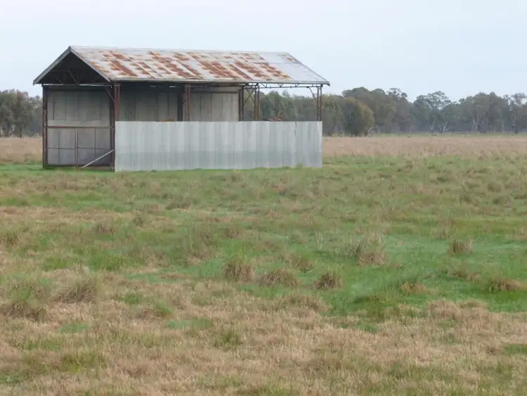 Fifth view of Homely rural property listing, "Jacka" Jacka Lane, Holbrook NSW 2644