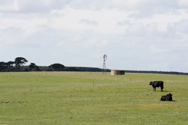 Second view of Homely rural property listing, Lot 565/566 Megaw Road, Compton SA 5291