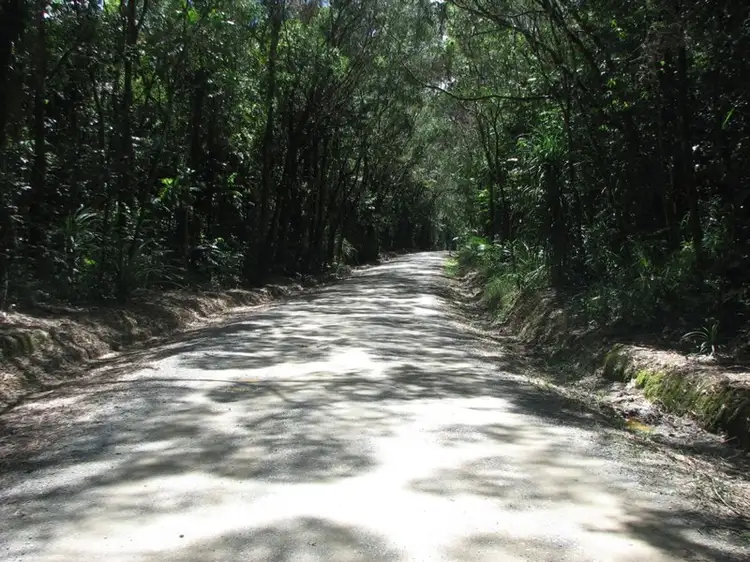 Fifth view of Homely land listing, Lot 13 Forest Creek Road FOREST CREEK, Daintree QLD 4873